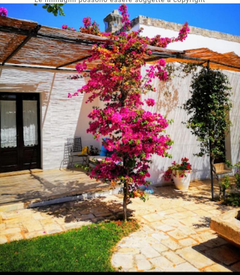 Room In Bb - Stunning Quadruple Room In Ancient Masseria Near The Sea In A Quiet Olive Trees Ostuni Esterno foto