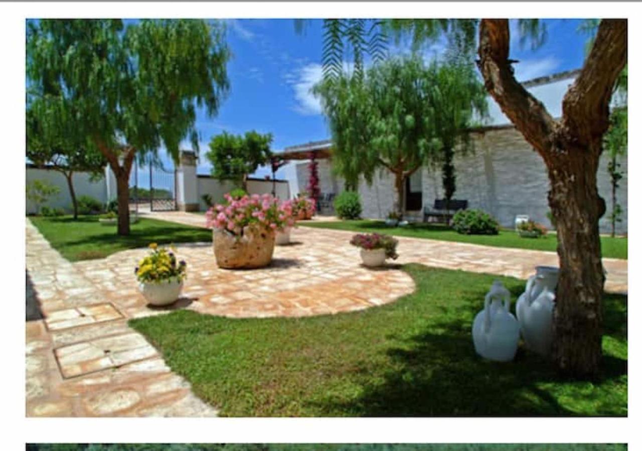 Room In Bb - Stunning Quadruple Room In Ancient Masseria Near The Sea In A Quiet Olive Trees Ostuni Esterno foto