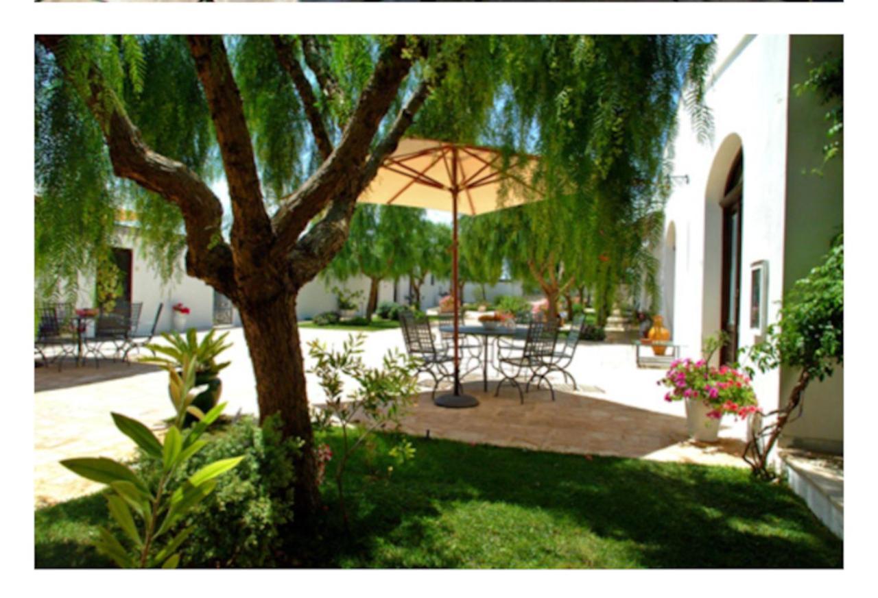 Room In Bb - Stunning Quadruple Room In Ancient Masseria Near The Sea In A Quiet Olive Trees Ostuni Esterno foto